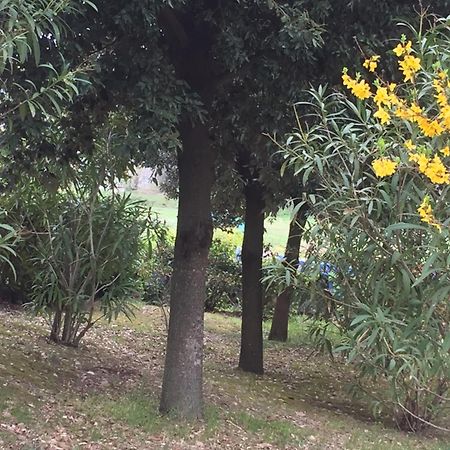 Appartamento Dell Agriturismo Pane E Olio Todi Ngoại thất bức ảnh