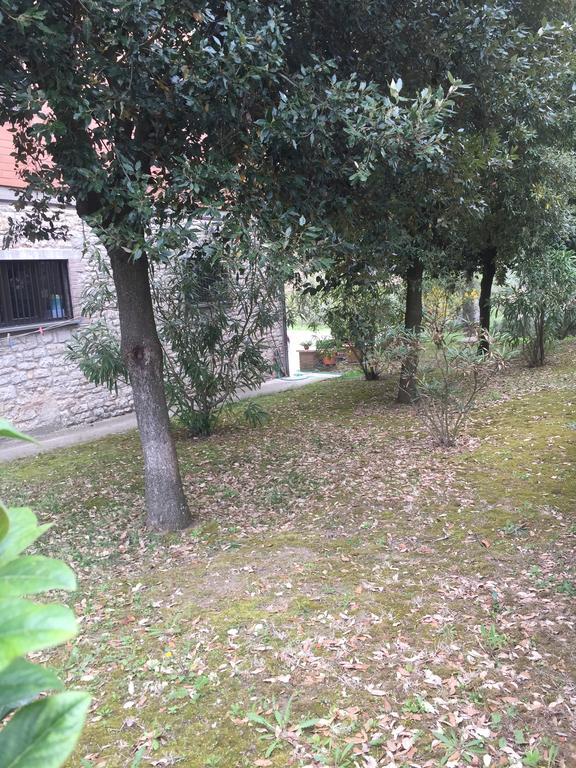 Appartamento Dell Agriturismo Pane E Olio Todi Ngoại thất bức ảnh