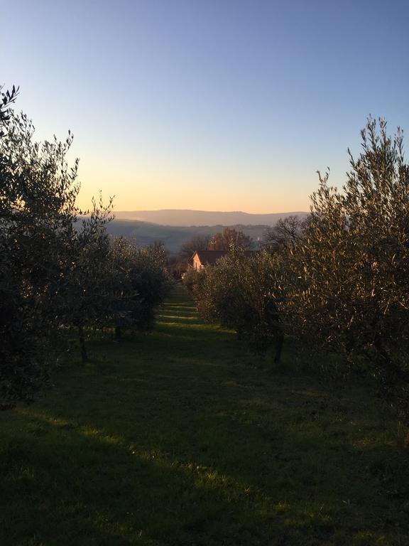 Appartamento Dell Agriturismo Pane E Olio Todi Ngoại thất bức ảnh